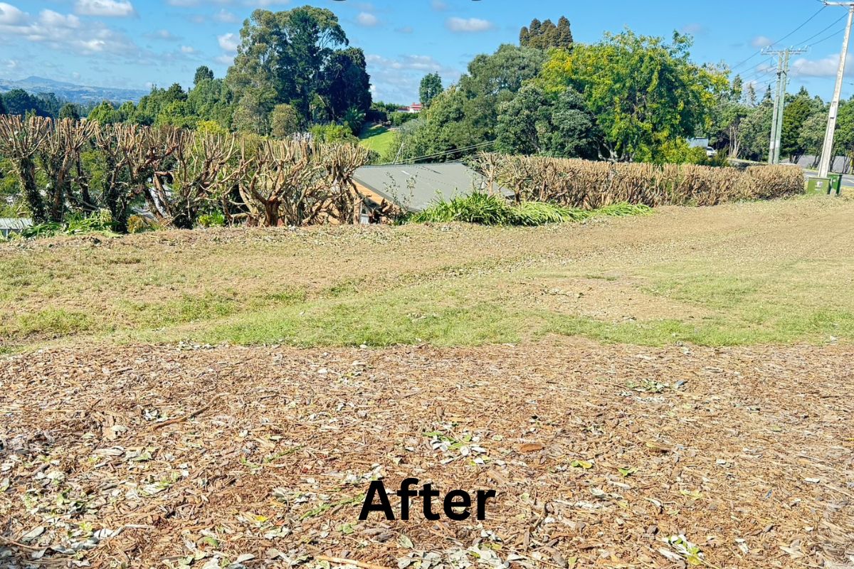 after shot after hedge trimming cleanup