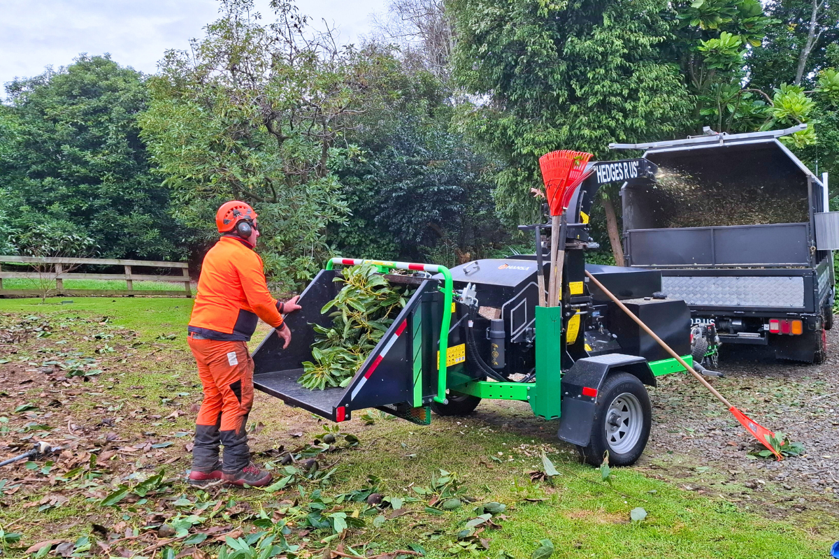Terry doing hedge maintenance and cleanup on a Tauranga job