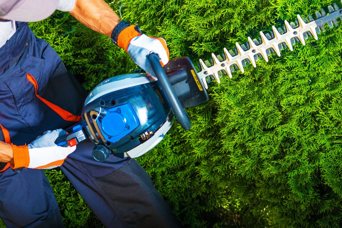 professional hedge trimming services Bay of Plenty. Closeup of hedge trimmer with his equipment